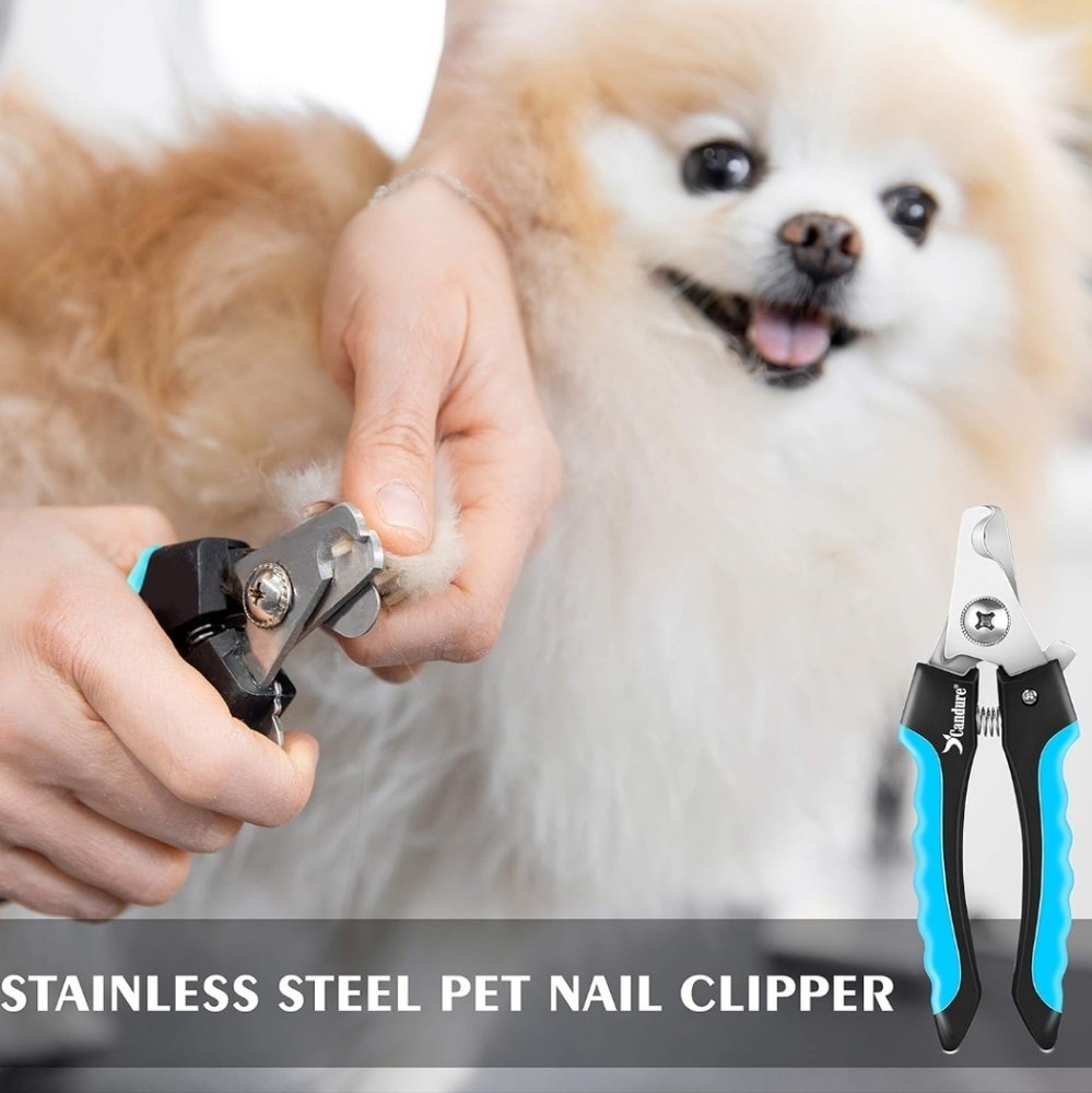 Black and Blue Dog Grooming Tools for Precision Care